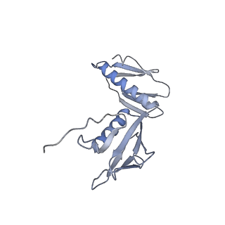 11421_6ztn_BG_v1-1
E. coli 70S-RNAP expressome complex in NusG-coupled state (42 nt intervening mRNA)