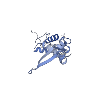11421_6ztn_BK_v1-1
E. coli 70S-RNAP expressome complex in NusG-coupled state (42 nt intervening mRNA)