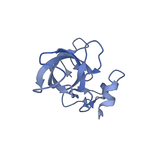 11421_6ztn_BL_v1-1
E. coli 70S-RNAP expressome complex in NusG-coupled state (42 nt intervening mRNA)