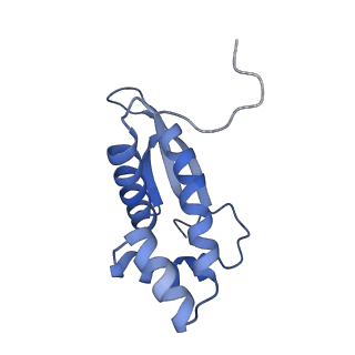 11421_6ztn_BO_v1-1
E. coli 70S-RNAP expressome complex in NusG-coupled state (42 nt intervening mRNA)