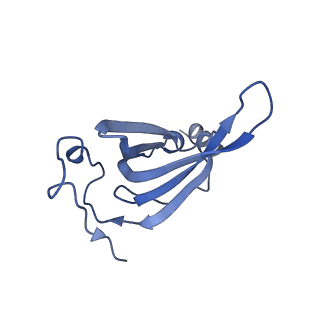11421_6ztn_BQ_v1-1
E. coli 70S-RNAP expressome complex in NusG-coupled state (42 nt intervening mRNA)