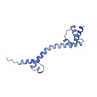 11421_6ztn_BR_v1-1
E. coli 70S-RNAP expressome complex in NusG-coupled state (42 nt intervening mRNA)