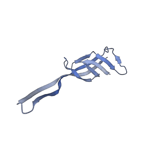 11421_6ztn_BS_v1-1
E. coli 70S-RNAP expressome complex in NusG-coupled state (42 nt intervening mRNA)