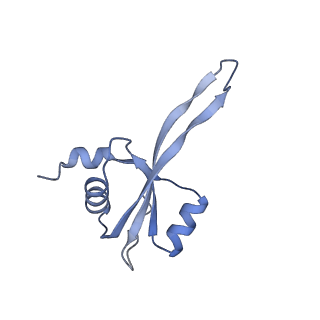 11421_6ztn_BU_v1-1
E. coli 70S-RNAP expressome complex in NusG-coupled state (42 nt intervening mRNA)
