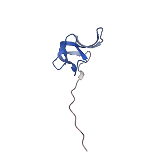 11421_6ztn_BX_v1-1
E. coli 70S-RNAP expressome complex in NusG-coupled state (42 nt intervening mRNA)