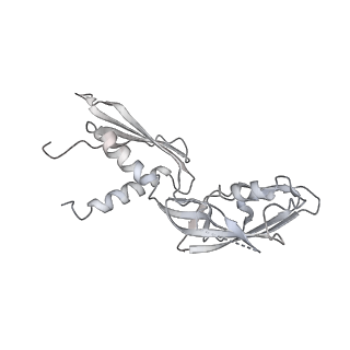 11421_6ztn_CB_v1-1
E. coli 70S-RNAP expressome complex in NusG-coupled state (42 nt intervening mRNA)