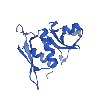 11422_6zto_AH_v1-0
E. coli 70S-RNAP expressome complex in uncoupled state 1