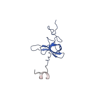 11422_6zto_AL_v1-0
E. coli 70S-RNAP expressome complex in uncoupled state 1