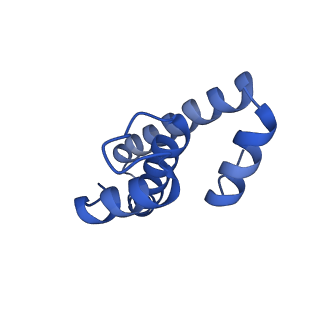11422_6zto_AO_v1-0
E. coli 70S-RNAP expressome complex in uncoupled state 1