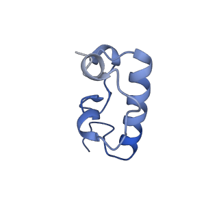 11422_6zto_AR_v1-0
E. coli 70S-RNAP expressome complex in uncoupled state 1