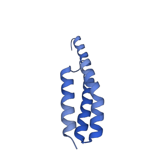 11422_6zto_AT_v1-0
E. coli 70S-RNAP expressome complex in uncoupled state 1
