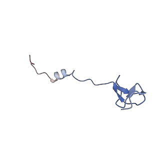 11422_6zto_B2_v1-0
E. coli 70S-RNAP expressome complex in uncoupled state 1