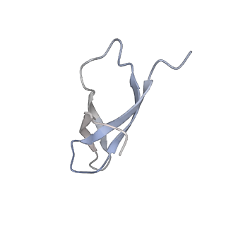 11422_6zto_B3_v1-0
E. coli 70S-RNAP expressome complex in uncoupled state 1
