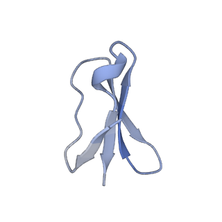 11422_6zto_B6_v1-0
E. coli 70S-RNAP expressome complex in uncoupled state 1