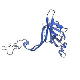 11422_6zto_BD_v1-0
E. coli 70S-RNAP expressome complex in uncoupled state 1