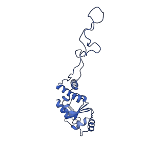 11422_6zto_BE_v1-0
E. coli 70S-RNAP expressome complex in uncoupled state 1