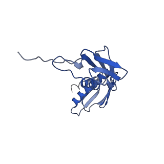 11422_6zto_BG_v1-0
E. coli 70S-RNAP expressome complex in uncoupled state 1