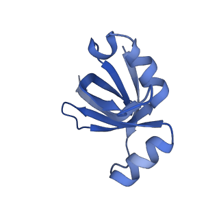 11422_6zto_BW_v1-0
E. coli 70S-RNAP expressome complex in uncoupled state 1