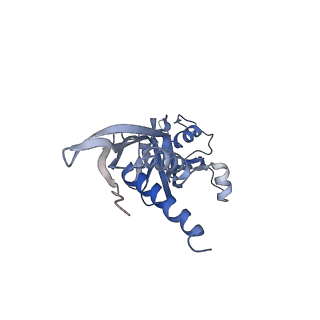 11422_6zto_CA_v1-0
E. coli 70S-RNAP expressome complex in uncoupled state 1