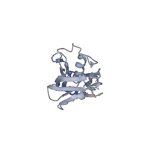11422_6zto_CB_v1-0
E. coli 70S-RNAP expressome complex in uncoupled state 1