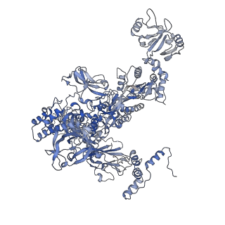 11422_6zto_CC_v1-0
E. coli 70S-RNAP expressome complex in uncoupled state 1