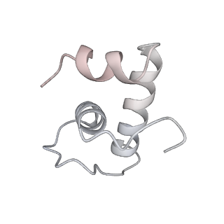 11422_6zto_CE_v1-0
E. coli 70S-RNAP expressome complex in uncoupled state 1