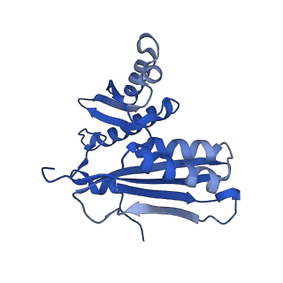 11423_6ztp_AC_v1-1
E. coli 70S-RNAP expressome complex in uncoupled state 6