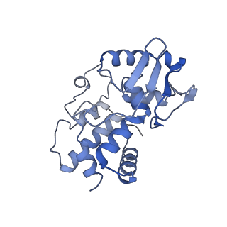 11423_6ztp_AD_v1-1
E. coli 70S-RNAP expressome complex in uncoupled state 6
