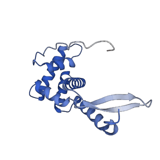 11423_6ztp_AG_v1-1
E. coli 70S-RNAP expressome complex in uncoupled state 6