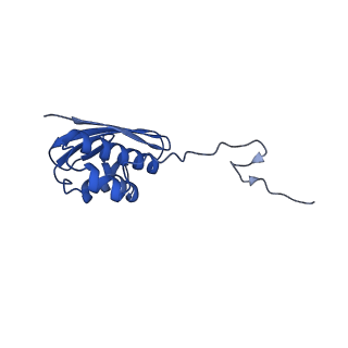 11423_6ztp_AI_v1-1
E. coli 70S-RNAP expressome complex in uncoupled state 6