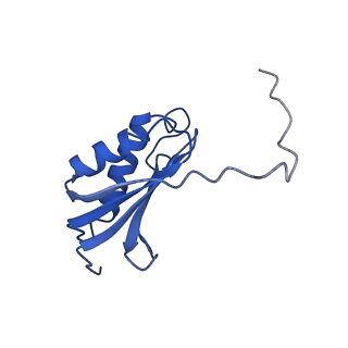 11423_6ztp_AK_v1-1
E. coli 70S-RNAP expressome complex in uncoupled state 6