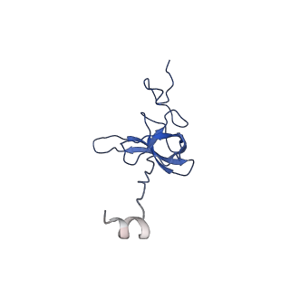 11423_6ztp_AL_v1-1
E. coli 70S-RNAP expressome complex in uncoupled state 6