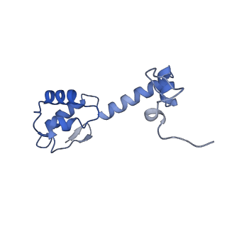 11423_6ztp_AM_v1-1
E. coli 70S-RNAP expressome complex in uncoupled state 6