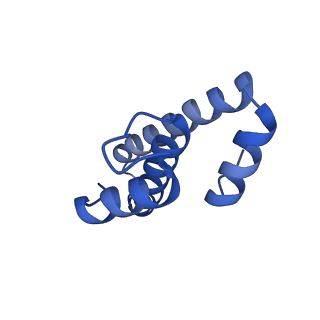 11423_6ztp_AO_v1-1
E. coli 70S-RNAP expressome complex in uncoupled state 6