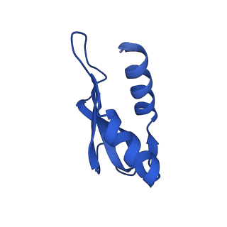 11423_6ztp_AP_v1-1
E. coli 70S-RNAP expressome complex in uncoupled state 6
