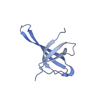 11423_6ztp_AQ_v1-1
E. coli 70S-RNAP expressome complex in uncoupled state 6