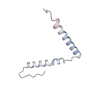 11423_6ztp_AU_v1-1
E. coli 70S-RNAP expressome complex in uncoupled state 6
