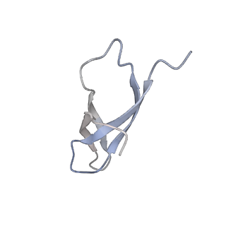11423_6ztp_B3_v1-1
E. coli 70S-RNAP expressome complex in uncoupled state 6