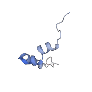 11423_6ztp_B4_v1-1
E. coli 70S-RNAP expressome complex in uncoupled state 6