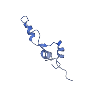 11423_6ztp_B5_v1-1
E. coli 70S-RNAP expressome complex in uncoupled state 6