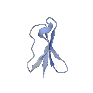 11423_6ztp_B6_v1-1
E. coli 70S-RNAP expressome complex in uncoupled state 6
