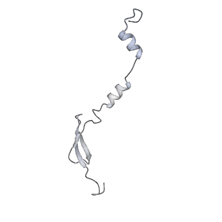 11423_6ztp_B7_v1-1
E. coli 70S-RNAP expressome complex in uncoupled state 6