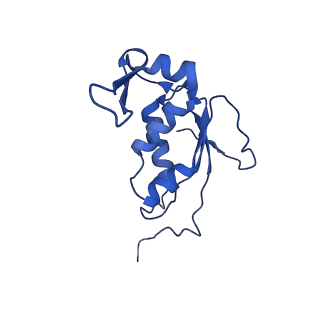 11423_6ztp_BK_v1-1
E. coli 70S-RNAP expressome complex in uncoupled state 6