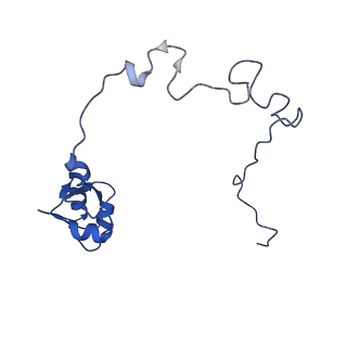 11423_6ztp_BM_v1-1
E. coli 70S-RNAP expressome complex in uncoupled state 6