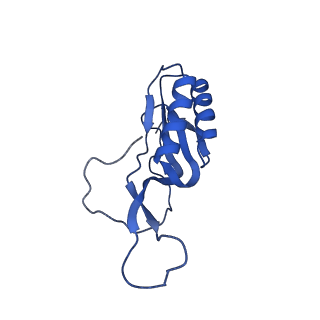 11423_6ztp_BN_v1-1
E. coli 70S-RNAP expressome complex in uncoupled state 6