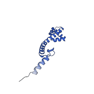 11423_6ztp_BR_v1-1
E. coli 70S-RNAP expressome complex in uncoupled state 6