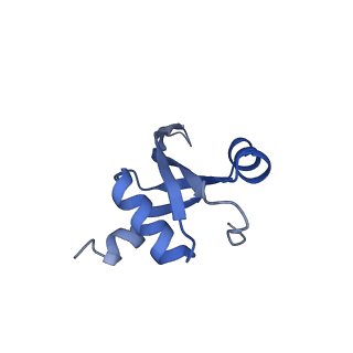 11423_6ztp_BU_v1-1
E. coli 70S-RNAP expressome complex in uncoupled state 6