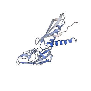 11423_6ztp_CA_v1-1
E. coli 70S-RNAP expressome complex in uncoupled state 6