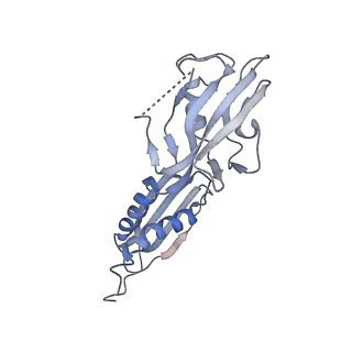 11423_6ztp_CB_v1-1
E. coli 70S-RNAP expressome complex in uncoupled state 6