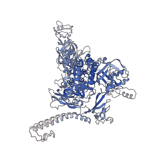11423_6ztp_CC_v1-1
E. coli 70S-RNAP expressome complex in uncoupled state 6